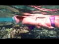 Lagu Bikini Girl Snorkeling - Free diving
