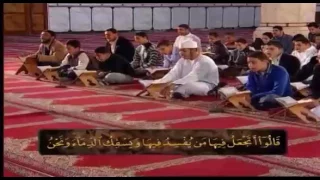 الكتاب الكبير سورة البقرة 3 الشيخ حسن سعيد السكندري 