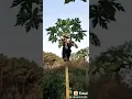 Story Wa yang bikin perut sakit...