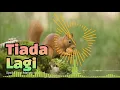 Download Lagu Lagu Kenangan: \