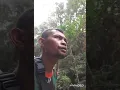 Download Lagu Pikat burung cucak kopi di hutan