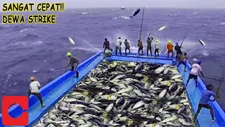Download GOD STRIKE VERY FAST TUNA FISHING IN SEA | AWESOME FISHING MP3