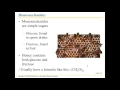 Chapter 3 Macromolecules