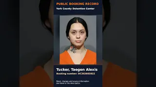 Tucker Taegen Alexis York County Booking DC202603822