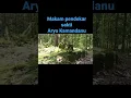 Download Lagu pernah viral! ditemukan makam pendekar sakti Arya Kamandanu pemilik pedang naga puspa, benarkah!