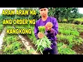 Download Lagu Araw araw ang order ng kangkong