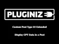 Using CPT UI Extended to display custom post type data