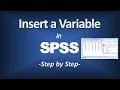 How to Insert New Variables in SPSS