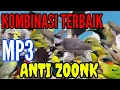 Lagu mp3 terbaik... untuk pikat semua jenis burung kecil dan besar Anti zoonk