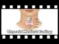 CPT Coding Tutorial Thyroid CPT Code Quest Diagnostic 4A