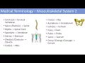 Medical Terminology Lesson 7 Musculoskeletal and Reproductive Anatomy Terms