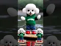 Download Lagu Dudi Dudi Dam Dam💃🍼🤩| #shorts #shortfeed #dudidudidam #catvideos #viralcat #397
