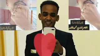 قصيدة بالسلامه الشاعر محمود الكارب 