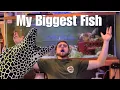 Building an Aquarium for a True Sea Monster