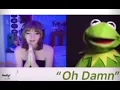 Kermit goes on Omegle