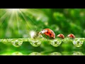 ฉันดีใจที่มีเธอ - บอย โกสิยพงษ์