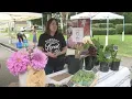 Enumclaw farmers market helping save local food