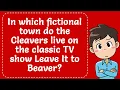 In which fictional town do the Cleavers live on the classic TV show Leave It to Beaver Explained