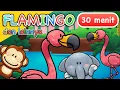 Download Lagu Lagu Anak | Flamingo dan Lainnya | 30 Menit