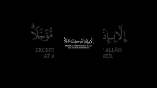 سورة ال عمران الاية 145 تلاوة رائعة 