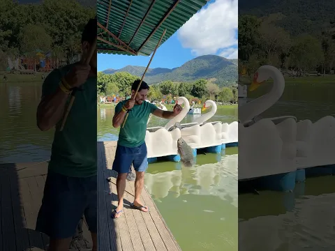 Olha que baita Tilápia eu peguei aqui no lago do parque aquático  #familia #pesca #pescaria
