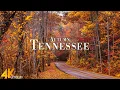 Lagu Autumn Tennessee 4K Ultra HD • Stunning Footage, Scenic Relaxation Film with Calming Music.