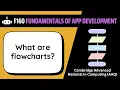 Flowcharts 3 2d OCR AAQ Application Development F160