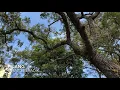 Download Lagu Hilang - Ustaz 3 Beradik [Muzik Video Rasmi]