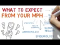 What to expect from a Master of Public Health degree Why do an MPH