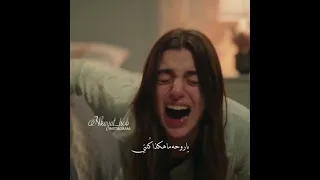 لازلت ارك وليست اري في بماده سأبدأ ياتري هل سبق وان هام احدهم بحبيب 