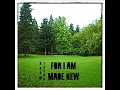Lagu Adam Young - For I Am Made New