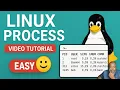Linux Processes Made EASY Beginner-Friendly Tutorial