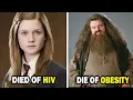10 Beloved Harry Potter Actors Who Tragically Passed Away