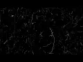 How to make House Music like Franky Rizardo (quick remake breakdown)