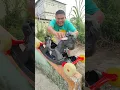 Download Lagu Naik Odong-odong #shorts #trending #funny #subscribe
