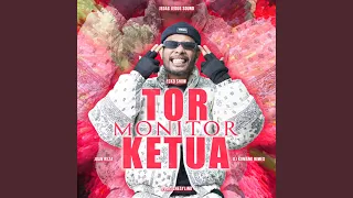 tor monitor ketua