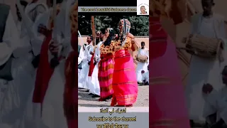 أروع رقصة بجا شرق السودان و ارتريا Sudanese Women Dance 