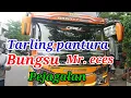 Lagu TARLING PANTURA //BUNGSU Mr. eces