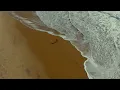 Download Lagu Claptone x Chicane feat. Moya Brennan - Saltwater (Official Music Video)