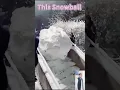 Download Lagu Other Making Snowball Vs last one making snow ball + Him ☠️ #trollface #troll #short  #lol  #ytshort