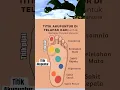 Download Lagu TITIK PIJAT UNTUK BERBAGAI PENYAKIT #kesehatan #edukasi #dokter
