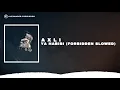 AxLi - Ya Habibi (Forbidden Slowed) [Arabic Trap Beat]
