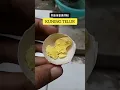 Download Lagu Cara membuat Pakan Burayak dengan Kuning Telur - Kuning Telur untuk Burayak cupang, Guppy, Tetra,dsb