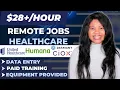 Remote Jobs Work From Home Jobs 2024 Data Entry Jobs Healthcare WFH Jobs