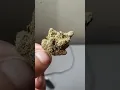 ONE of my TOP 5 FAVORITE INDICA STRAINS