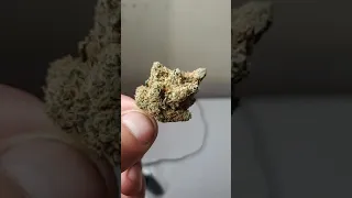 ONE of my TOP 5 FAVORITE INDICA STRAINS