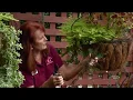 Tulsa County Master Gardeners