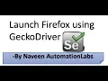 How to launch Firefox browser using GeckoDriver