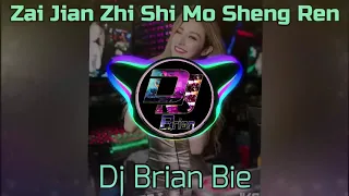 Download Zai Jian Zhi Shi Mo Sheng Ren 再见只是陌生人 Remix By Dj Brian Bie MP3