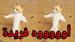  اغنية باسم فريدة فريده فريدة السعودية الكويت العراق تركيا قطر البحرين الجزائر دبي جده جدة الرياض دندنها